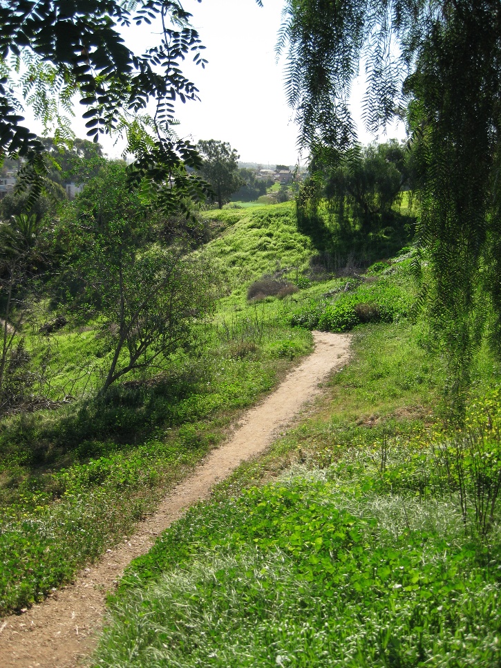 Butterfly Park