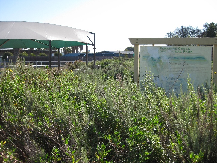 Paradise Creek Park